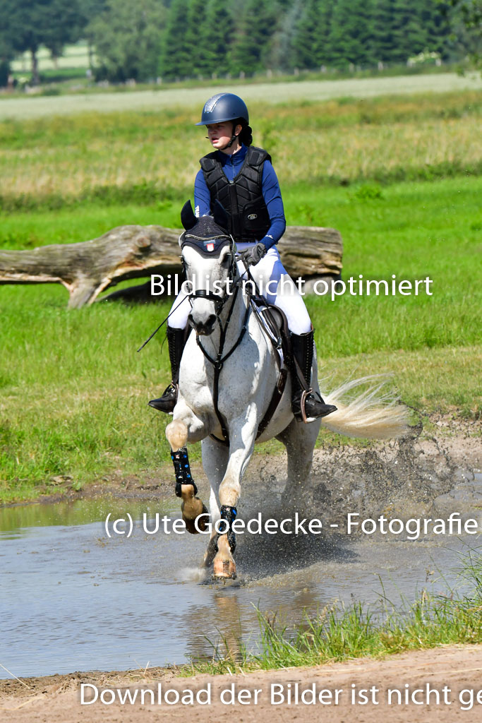 Goldene Schärpe PFerde  in Löningen  11+12.6.22 | 11062022 - Gelände 1 Abt_0512