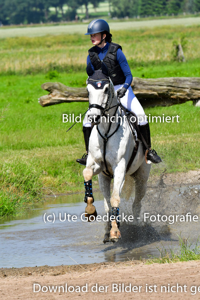 Goldene Schärpe PFerde  in Löningen  11+12.6.22 | 11062022 - Gelände 1 Abt_0513 