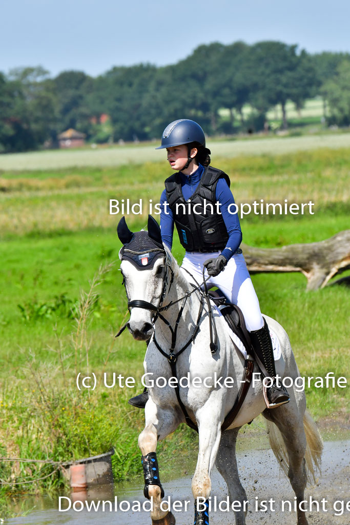 Goldene Schärpe PFerde  in Löningen  11+12.6.22 | 11062022 - Gelände 1 Abt_0514 