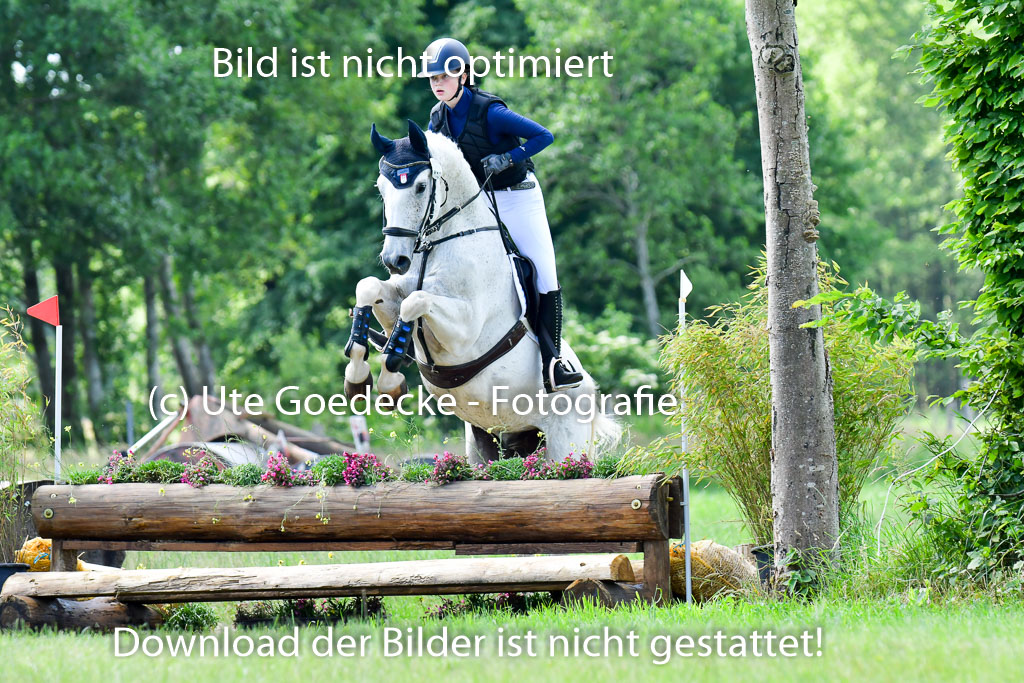 Goldene Schärpe PFerde  in Löningen  11+12.6.22 | 11062022 - Gelände 1 Abt_0517 