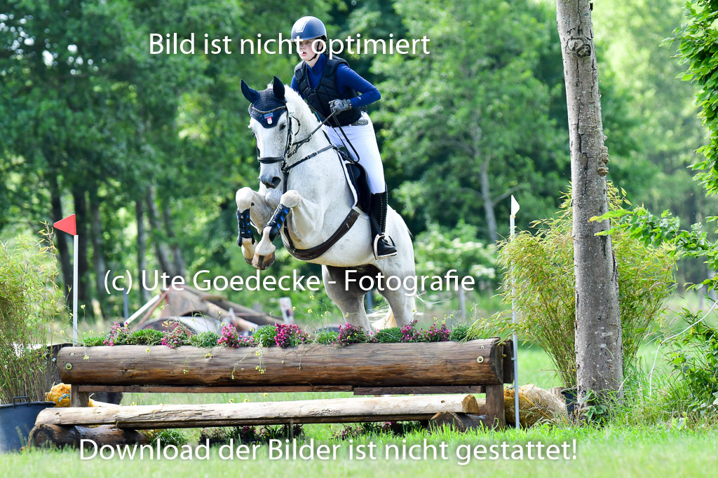 Goldene Schärpe PFerde  in Löningen  11+12.6.22 | 11062022 - Gelände 1 Abt_0518 