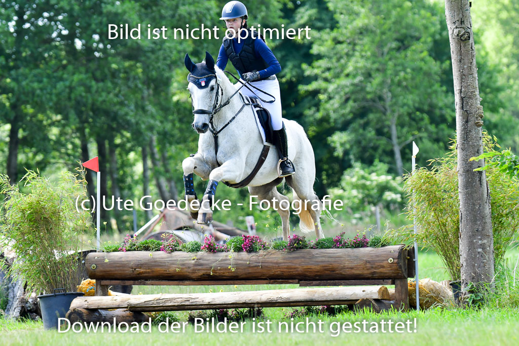 Goldene Schärpe PFerde  in Löningen  11+12.6.22 | 11062022 - Gelände 1 Abt_0519 
