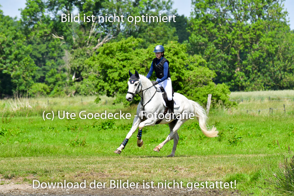 Goldene Schärpe PFerde  in Löningen  11+12.6.22 | 11062022 - Gelände 1 Abt_0520 