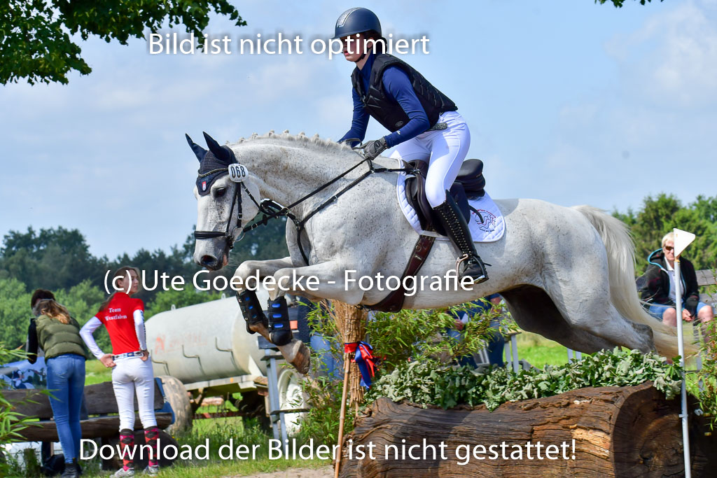 Goldene Schärpe Pferde  in Löningen  11+12.6.22 | 11062022 - Gelände 1 Abt_0525 