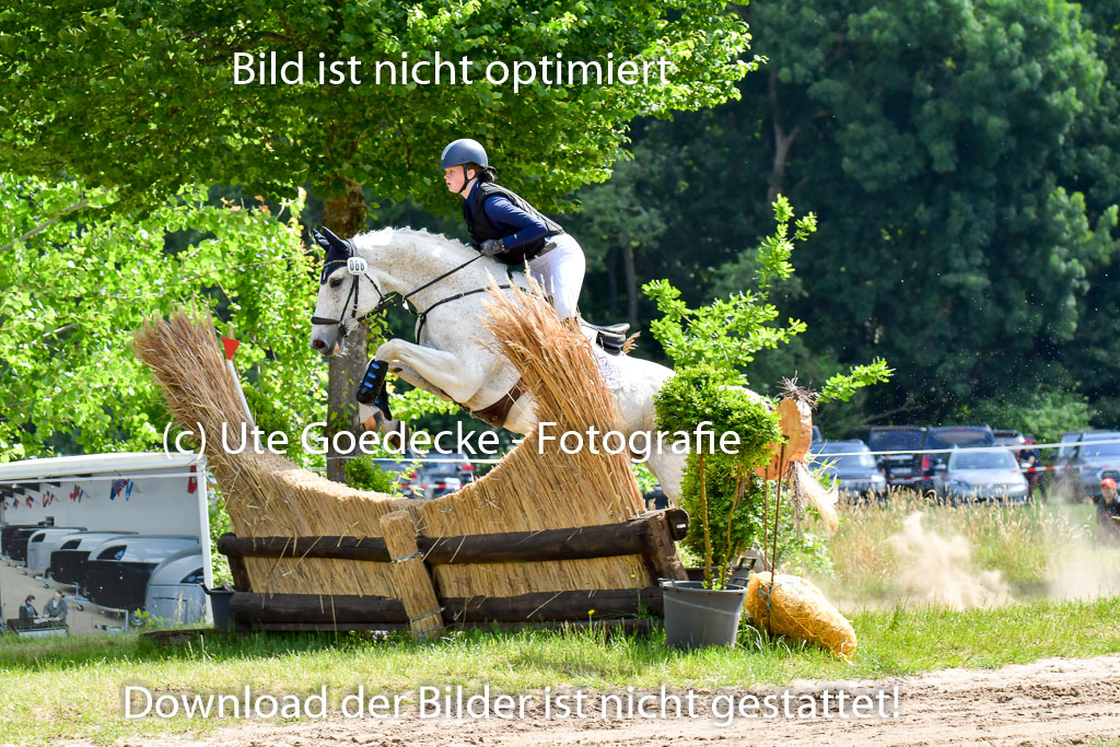 Goldene Schärpe Pferde  in Löningen  11+12.6.22 | 11062022 - Gelände 1 Abt_0526 