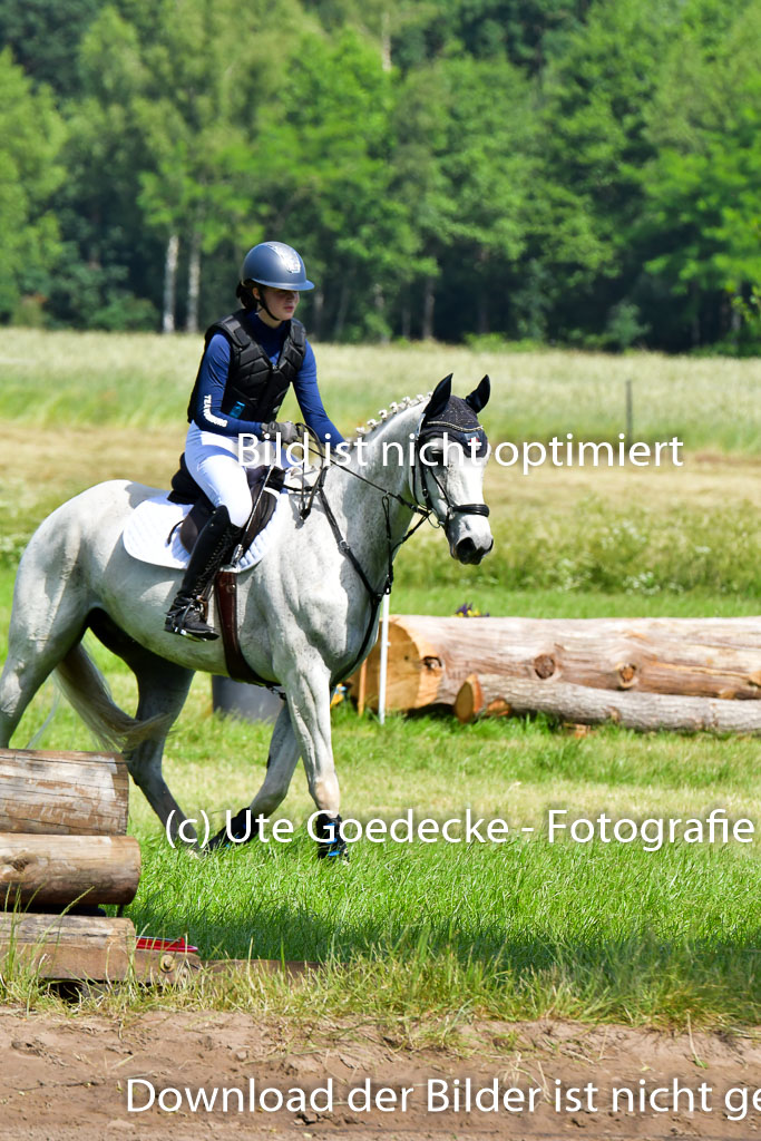 Goldene Schärpe Pferde  in Löningen  11+12.6.22 | 11062022 - Gelände 1 Abt_0533 