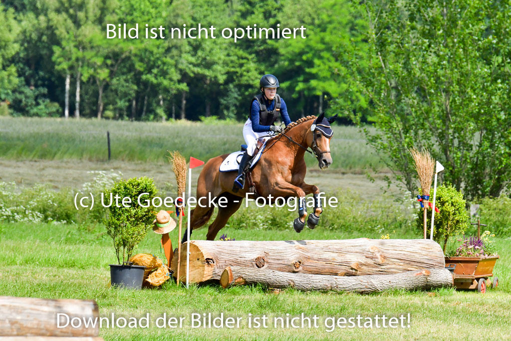 Goldene Schärpe Pferde  in Löningen  11+12.6.22 | 11062022 - Gelände 1 Abt_0534 