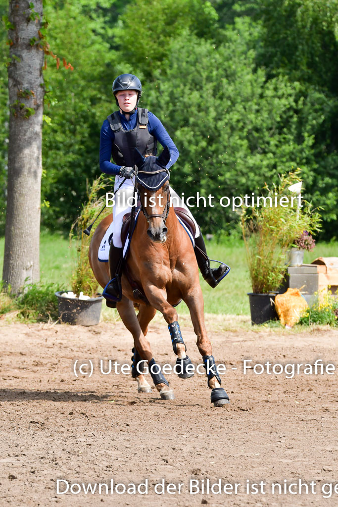 Goldene Schärpe Pferde  in Löningen  11+12.6.22 | 11062022 - Gelände 1 Abt_0536 