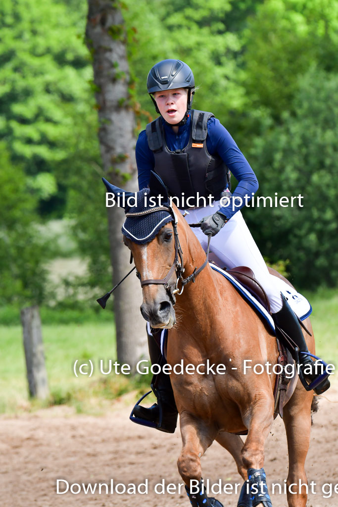 Goldene Schärpe Pferde  in Löningen  11+12.6.22 | 11062022 - Gelände 1 Abt_0537 