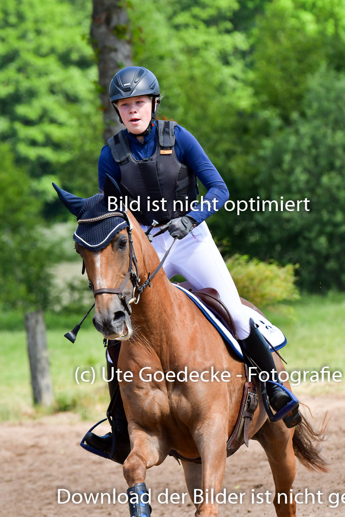 Goldene Schärpe Pferde  in Löningen  11+12.6.22 | 11062022 - Gelände 1 Abt_0538 