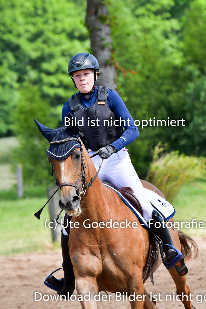 Goldene Schärpe Pferde  in Löningen  11+12.6.22 | 11062022 - Gelände 1 Abt_0539