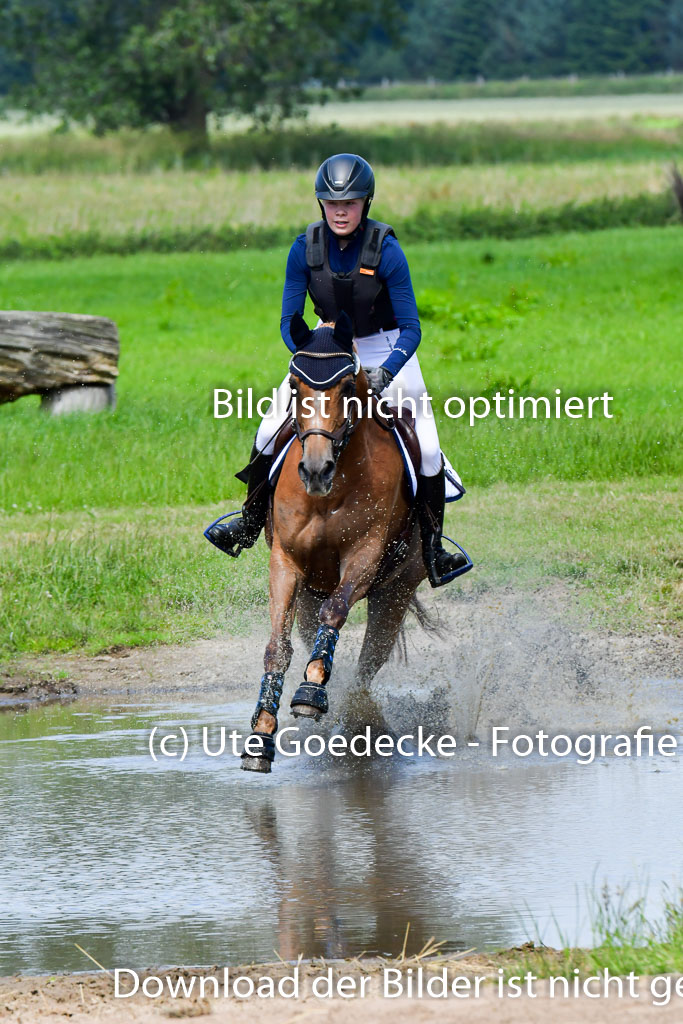 Goldene Schärpe Pferde  in Löningen  11+12.6.22 | 11062022 - Gelände 1 Abt_0540 