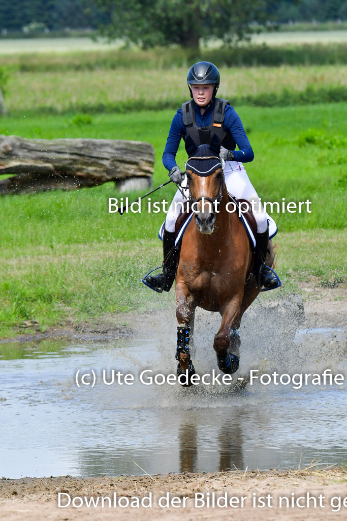 Goldene Schärpe Pferde  in Löningen  11+12.6.22 | 11062022 - Gelände 1 Abt_0541 