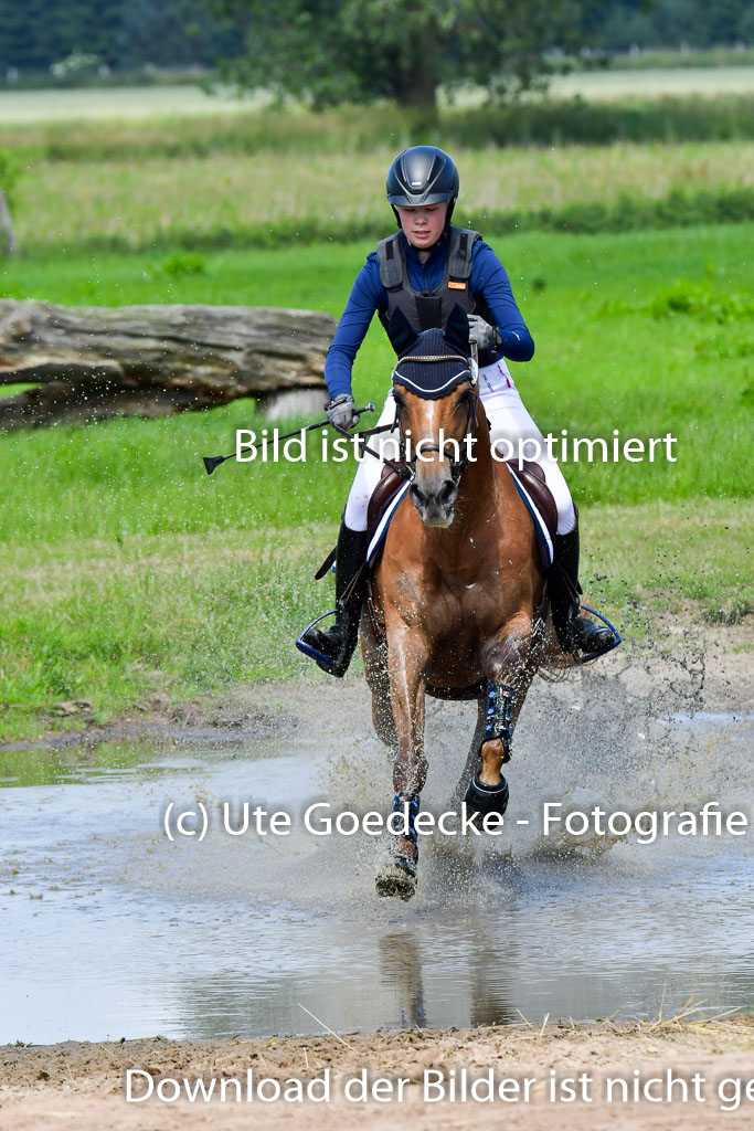 Goldene Schärpe Pferde  in Löningen  11+12.6.22 | 11062022 - Gelände 1 Abt_0542 