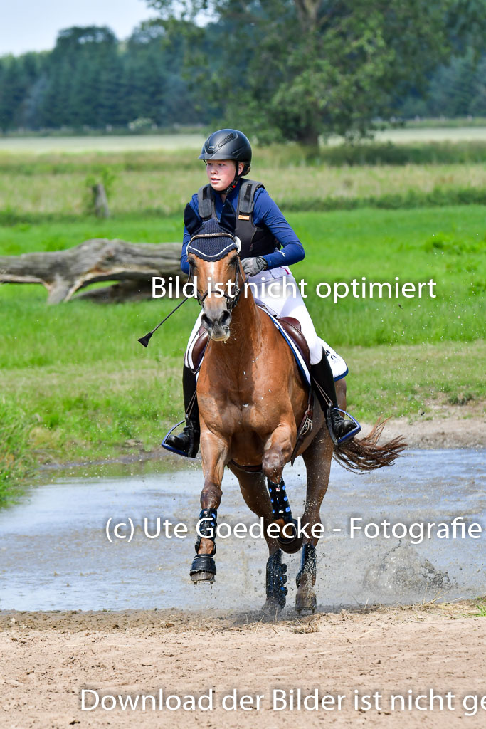 Goldene Schärpe Pferde  in Löningen  11+12.6.22 | 11062022 - Gelände 1 Abt_0544 