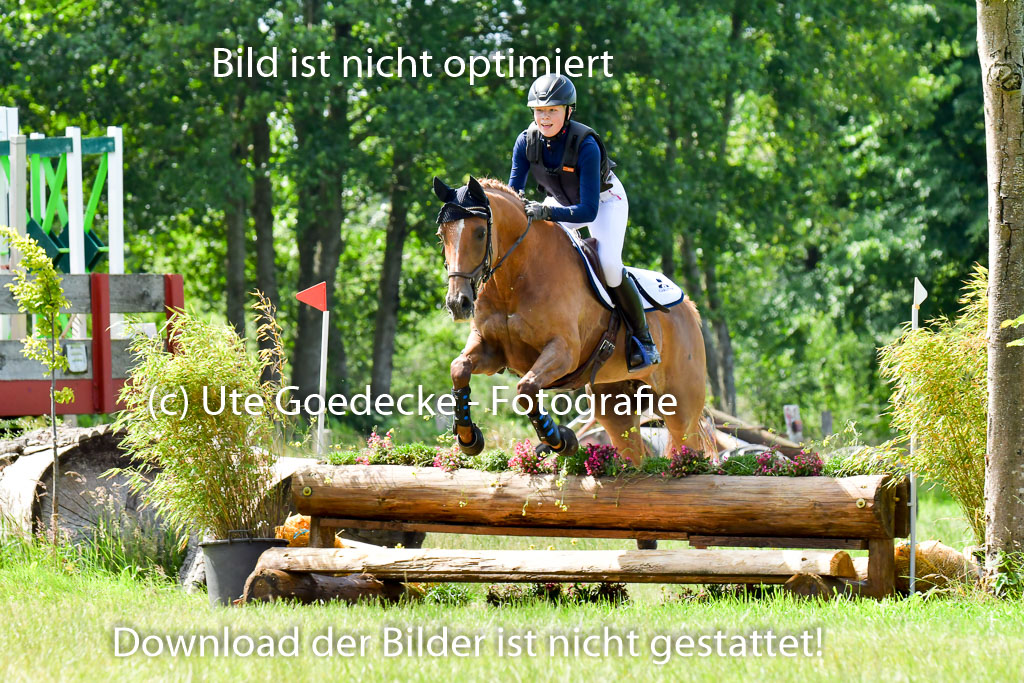 Goldene Schärpe Pferde  in Löningen  11+12.6.22 | 11062022 - Gelände 1 Abt_0545 