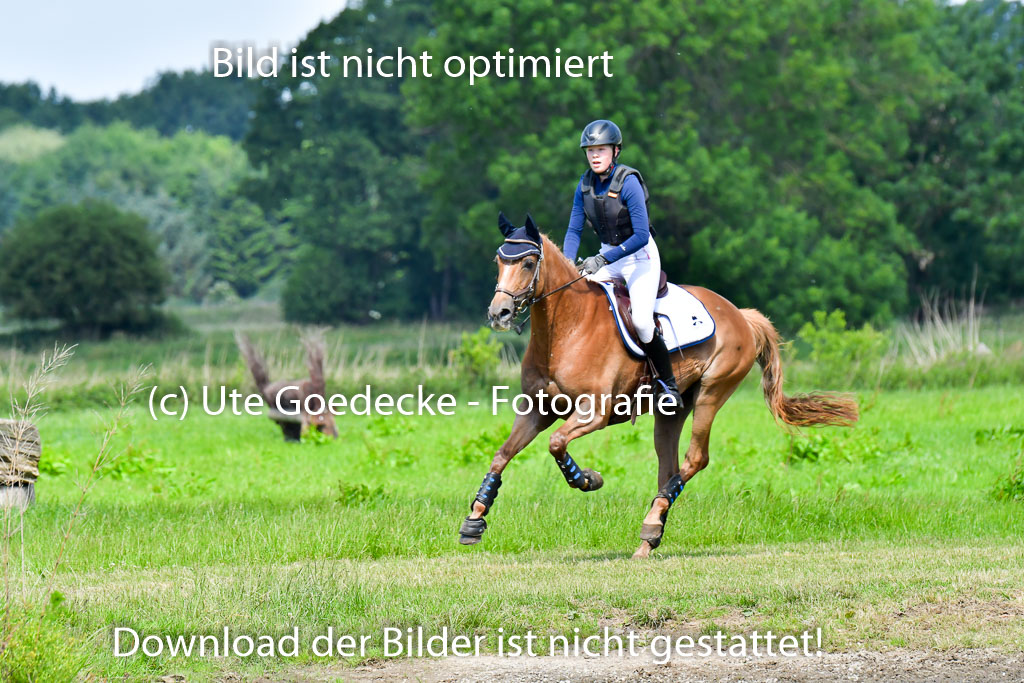 Goldene Schärpe Pferde  in Löningen  11+12.6.22 | 11062022 - Gelände 1 Abt_0546 