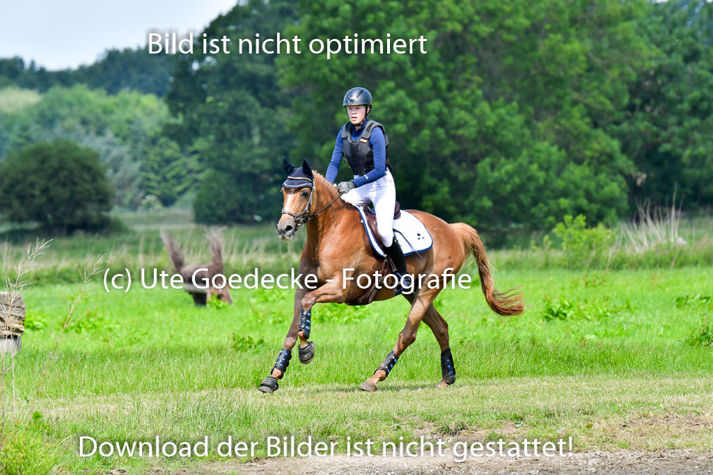 Goldene Schärpe Pferde  in Löningen  11+12.6.22 | 11062022 - Gelände 1 Abt_0547