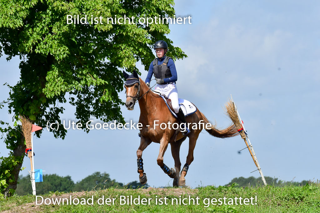 Goldene Schärpe Pferde  in Löningen  11+12.6.22 | 11062022 - Gelände 1 Abt_0548 