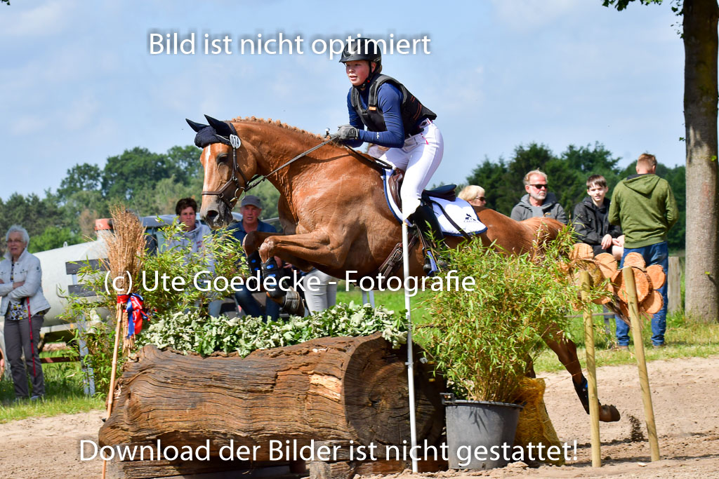 Goldene Schärpe Pferde  in Löningen  11+12.6.22 | 11062022 - Gelände 1 Abt_0550 