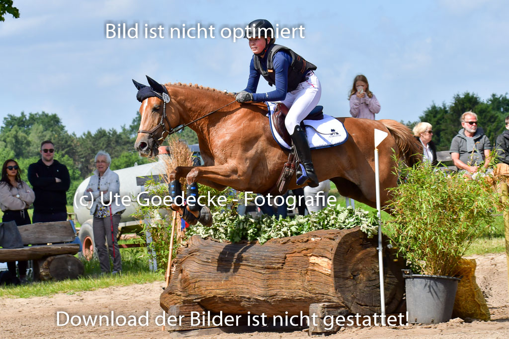 Goldene Schärpe Pferde  in Löningen  11+12.6.22 | 11062022 - Gelände 1 Abt_0551 