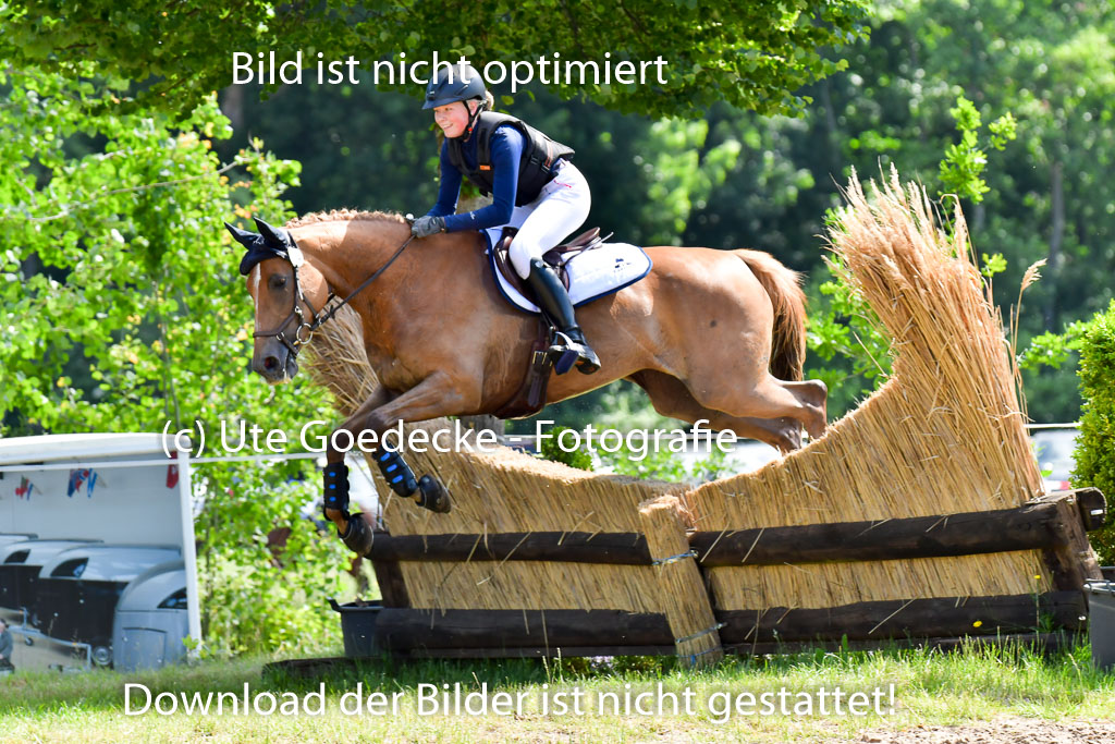 Goldene Schärpe Pferde  in Löningen  11+12.6.22 | 11062022 - Gelände 1 Abt_0552 