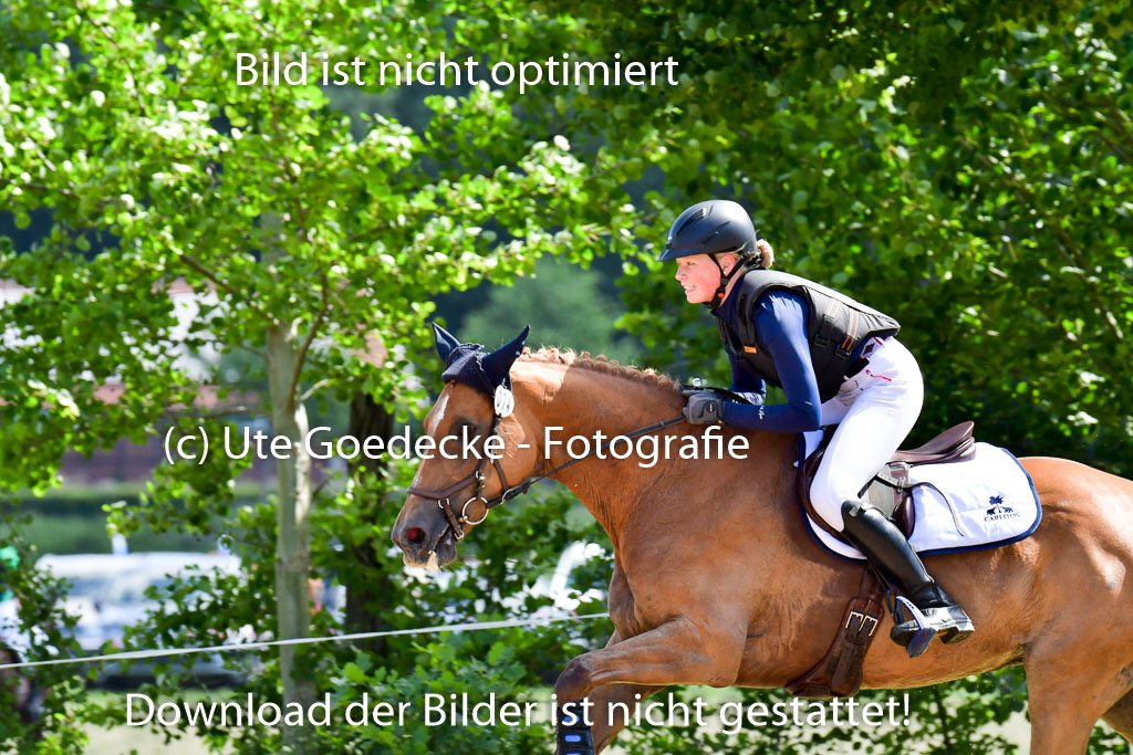 Goldene Schärpe Pferde  in Löningen  11+12.6.22 | 11062022 - Gelände 1 Abt_0553 