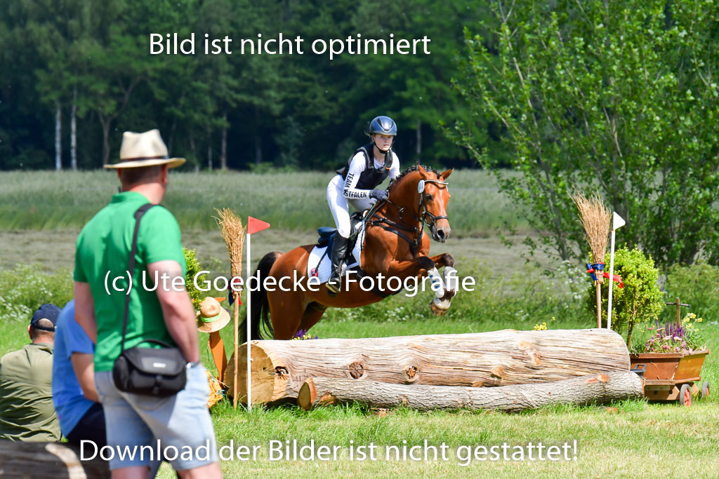 Goldene Schärpe Pferde  in Löningen  11+12.6.22 | 11062022 - Gelände 1 Abt_0555 