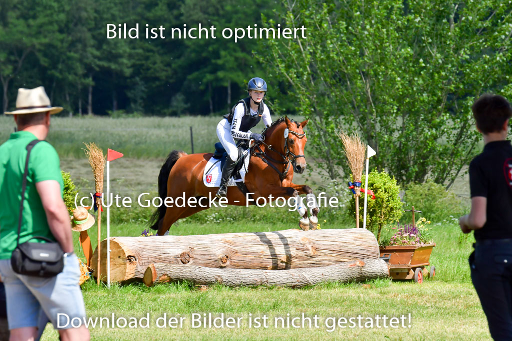 Goldene Schärpe Pferde  in Löningen  11+12.6.22 | 11062022 - Gelände 1 Abt_0556 