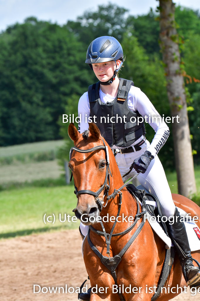 Goldene Schärpe Pferde  in Löningen  11+12.6.22 | 11062022 - Gelände 1 Abt_0560 