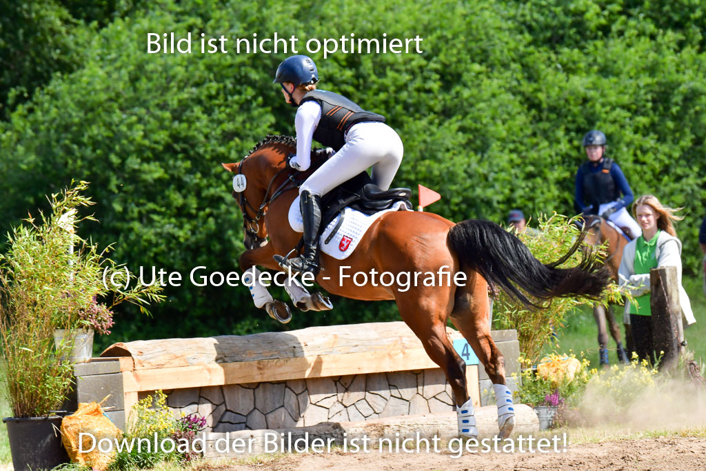 Goldene Schärpe Pferde  in Löningen  11+12.6.22 | 11062022 - Gelände 1 Abt_0561 