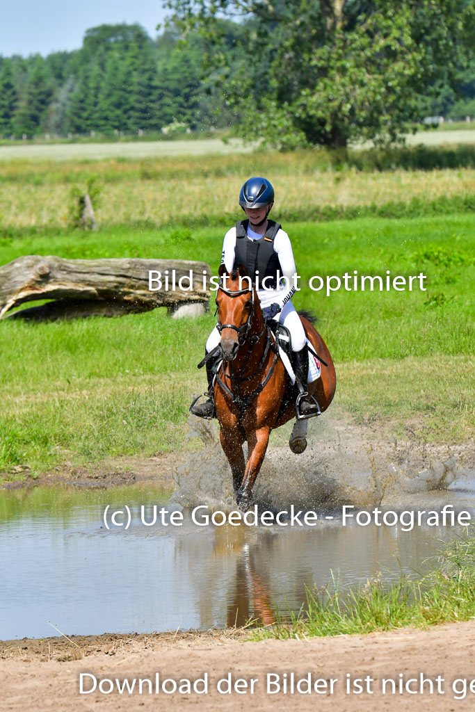 Goldene Schärpe Pferde  in Löningen  11+12.6.22 | 11062022 - Gelände 1 Abt_0563 