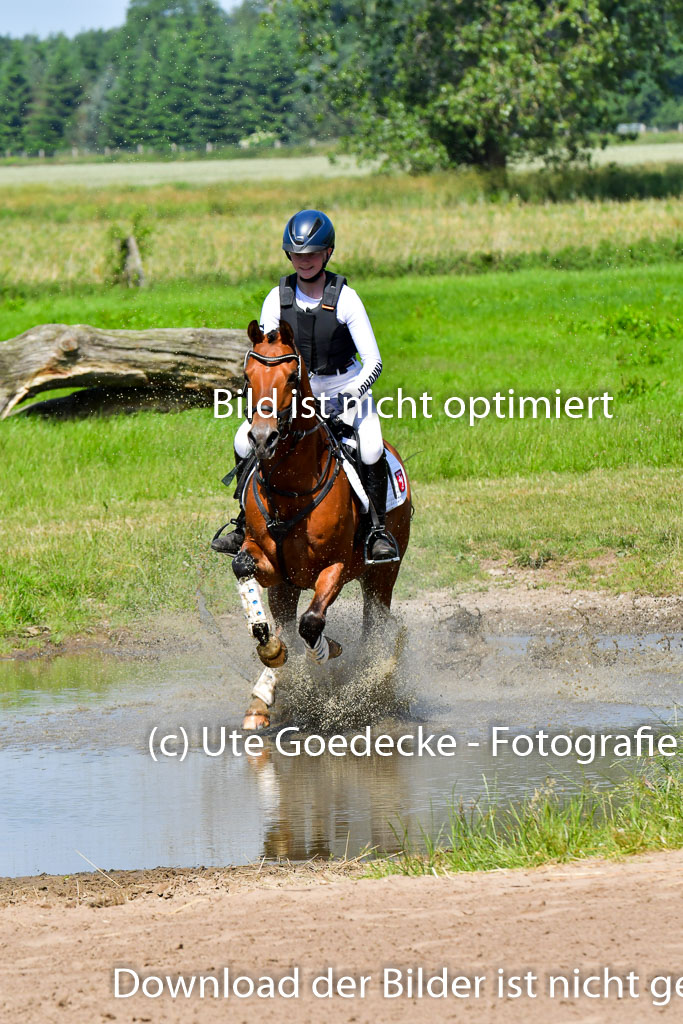 Goldene Schärpe Pferde  in Löningen  11+12.6.22 | 11062022 - Gelände 1 Abt_0564 