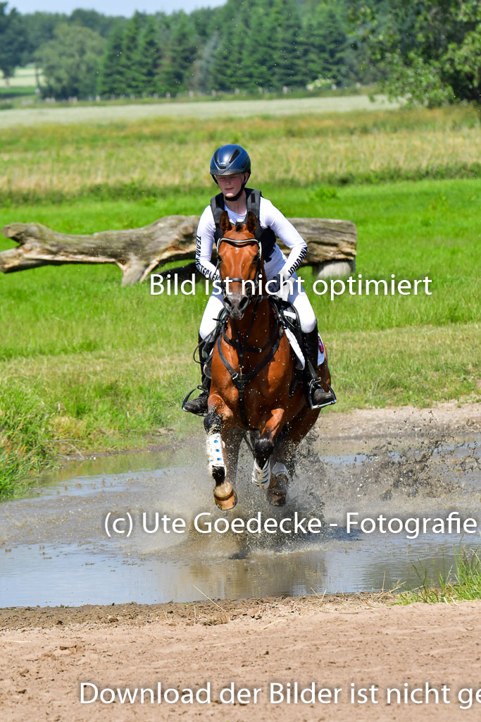 Goldene Schärpe Pferde  in Löningen  11+12.6.22 | 11062022 - Gelände 1 Abt_0566