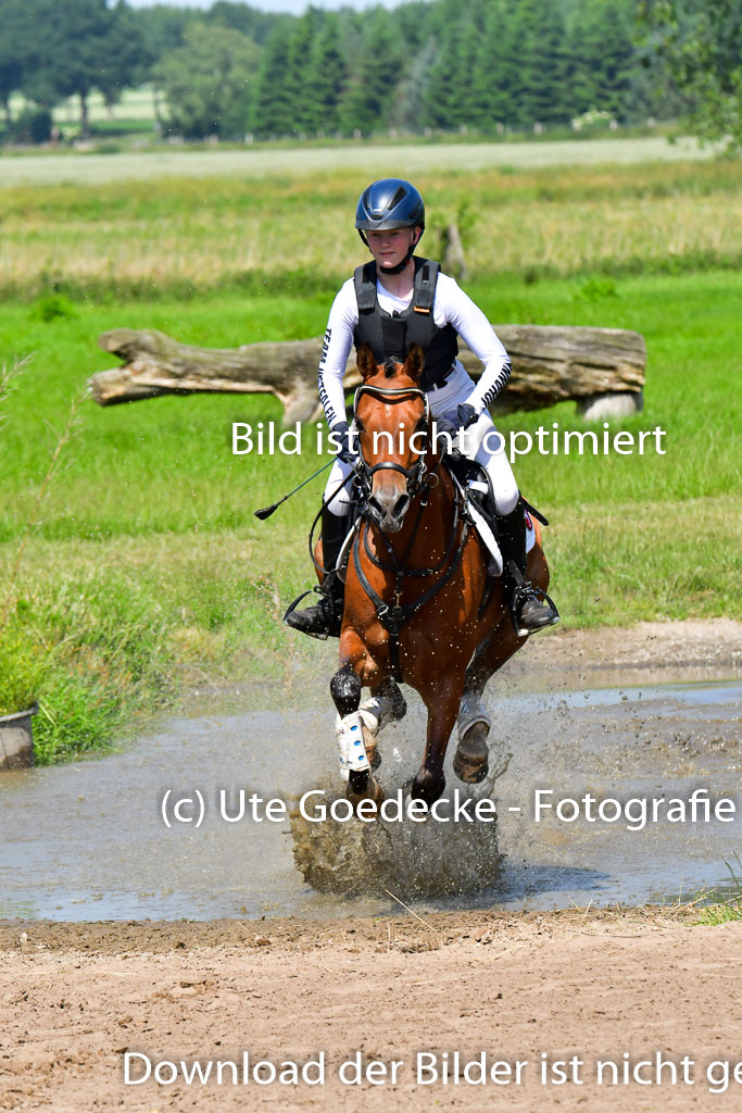 Goldene Schärpe Pferde  in Löningen  11+12.6.22 | 11062022 - Gelände 1 Abt_0568 