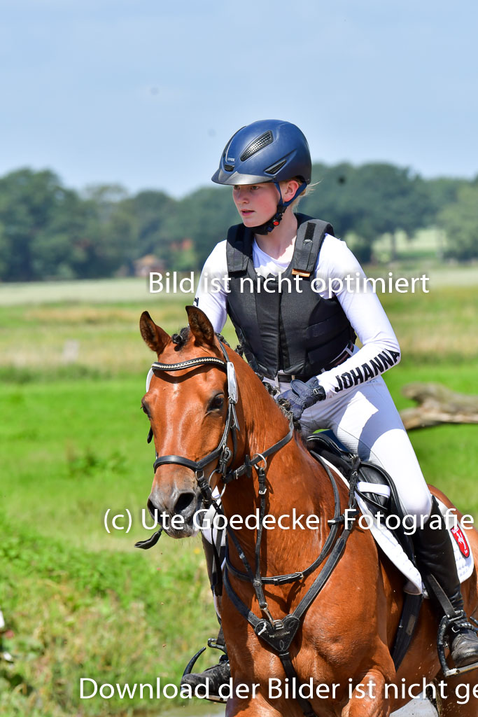 Goldene Schärpe Pferde  in Löningen  11+12.6.22 | 11062022 - Gelände 1 Abt_0569 