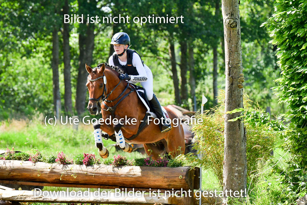 Goldene Schärpe Pferde  in Löningen  11+12.6.22 | 11062022 - Gelände 1 Abt_0570
