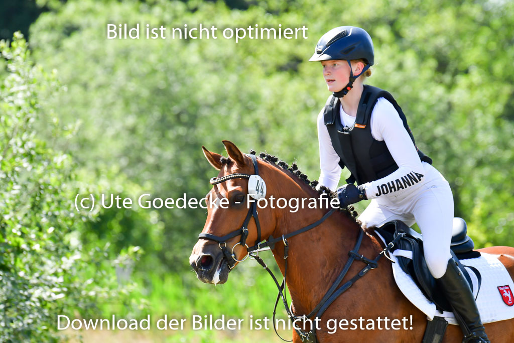 Goldene Schärpe Pferde  in Löningen  11+12.6.22 | 11062022 - Gelände 1 Abt_0571 