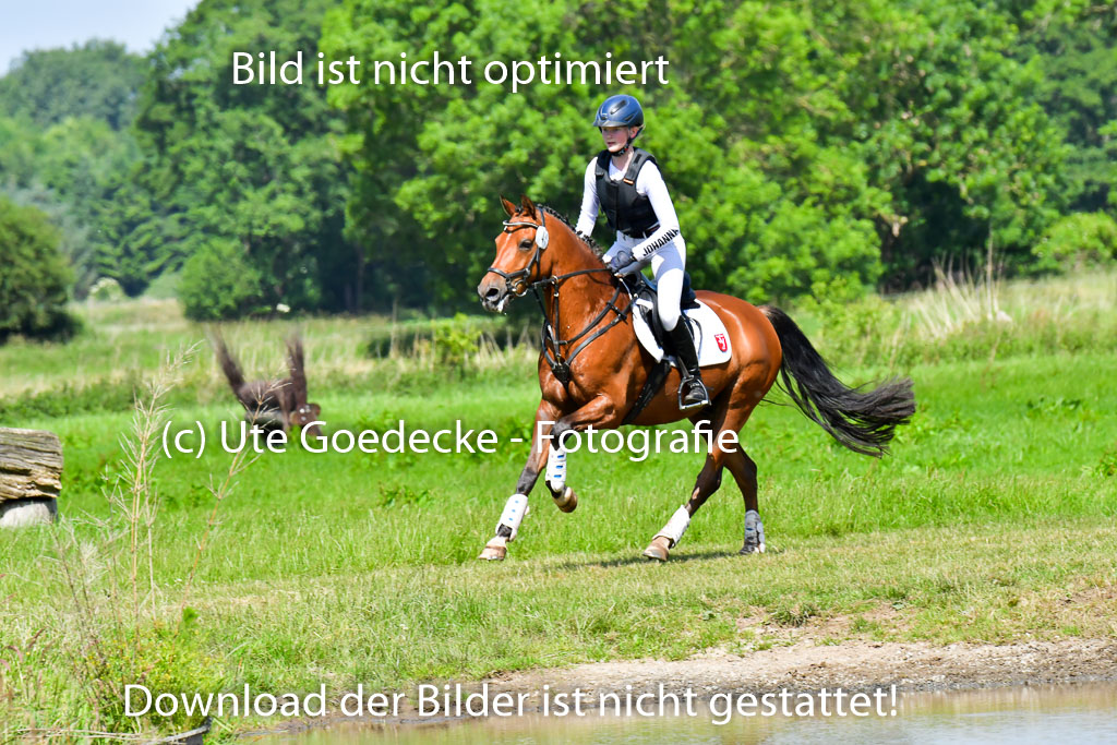 Goldene Schärpe Pferde  in Löningen  11+12.6.22 | 11062022 - Gelände 1 Abt_0572