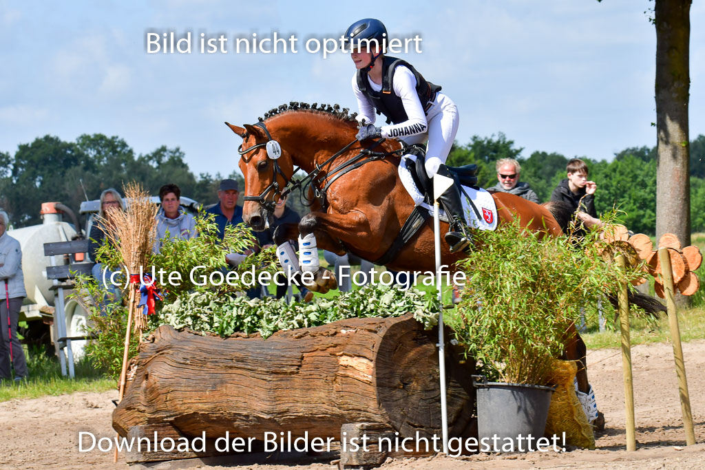 Goldene Schärpe Pferde  in Löningen  11+12.6.22 | 11062022 - Gelände 1 Abt_0574 