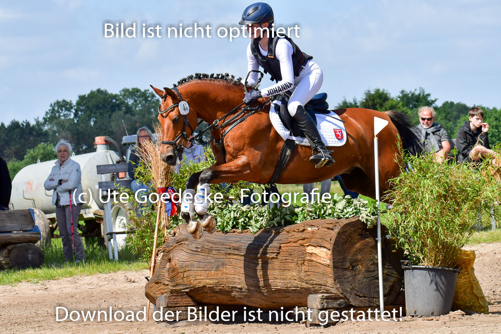 Goldene Schärpe Pferde  in Löningen  11+12.6.22 | 11062022 - Gelände 1 Abt_0575