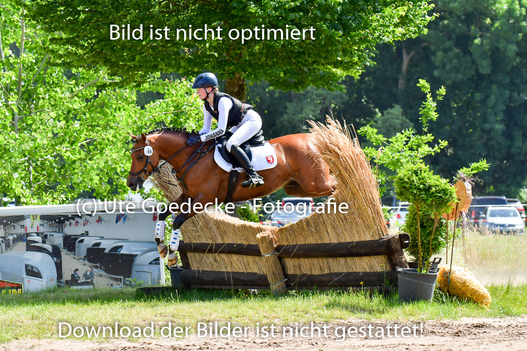 Goldene Schärpe Pferde  in Löningen  11+12.6.22 | 11062022 - Gelände 1 Abt_0576 