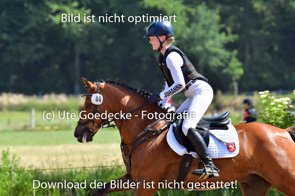 Goldene Schärpe Pferde  in Löningen  11+12.6.22 | 11062022 - Gelände 1 Abt_0577 