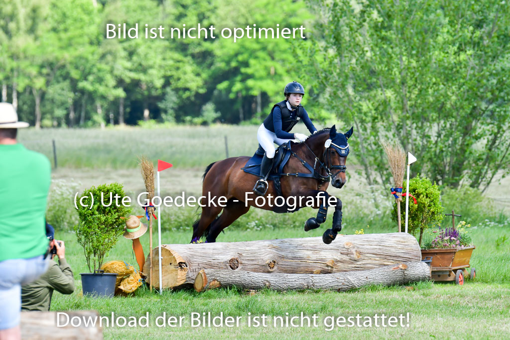 Goldene Schärpe Pferde  in Löningen  11+12.6.22 | 11062022 - Gelände 1 Abt_0578 