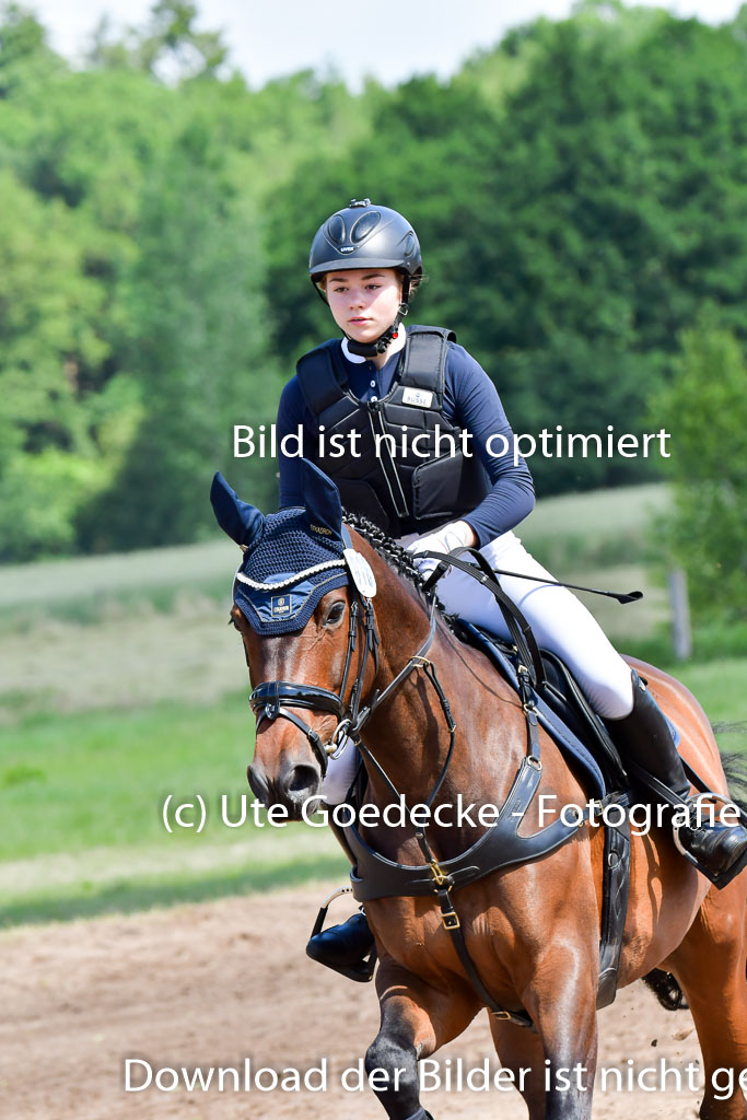 Goldene Schärpe Pferde  in Löningen  11+12.6.22 | 11062022 - Gelände 1 Abt_0579 
