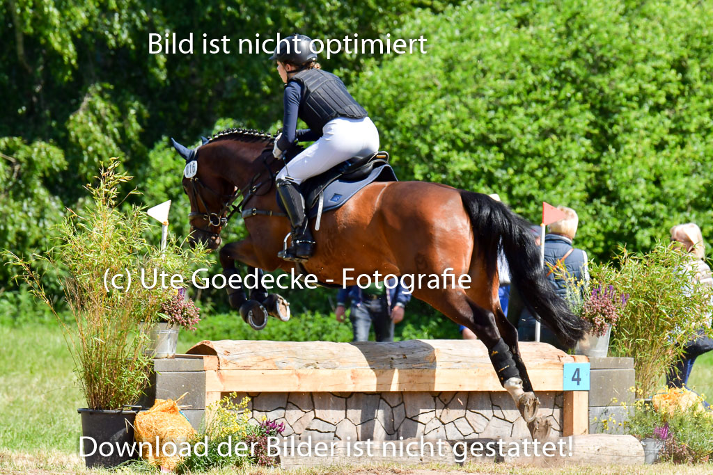 Goldene Schärpe Pferde  in Löningen  11+12.6.22 | 11062022 - Gelände 1 Abt_0582 