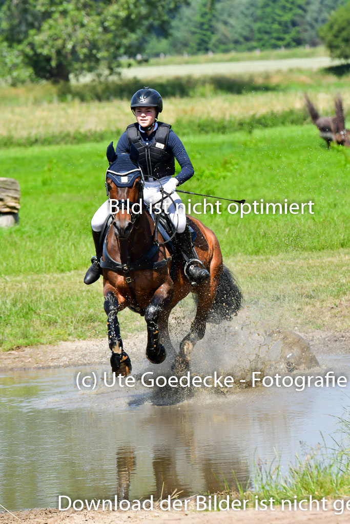 Goldene Schärpe Pferde  in Löningen  11+12.6.22 | 11062022 - Gelände 1 Abt_0583 