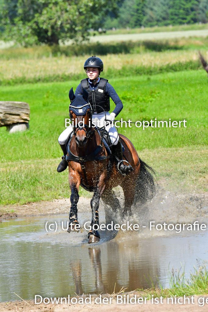 Goldene Schärpe Pferde  in Löningen  11+12.6.22 | 11062022 - Gelände 1 Abt_0584 