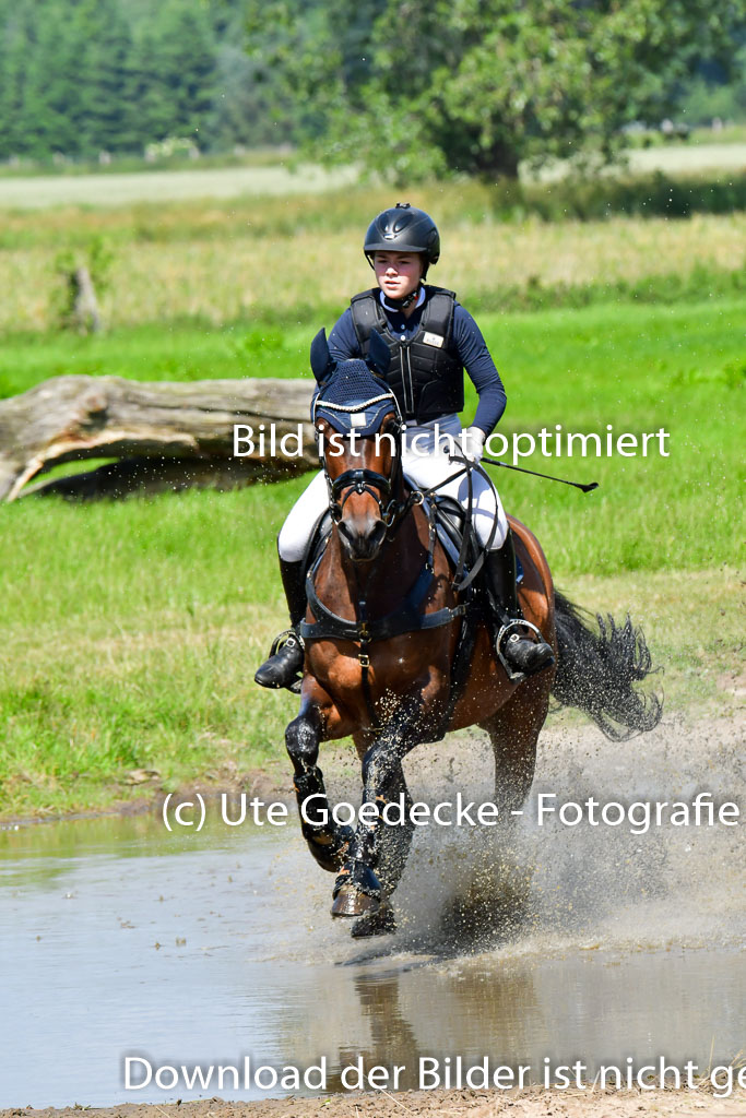 Goldene Schärpe Pferde  in Löningen  11+12.6.22 | 11062022 - Gelände 1 Abt_0585 
