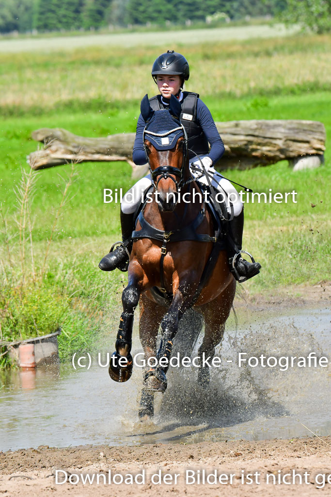 Goldene Schärpe Pferde  in Löningen  11+12.6.22 | 11062022 - Gelände 1 Abt_0586 